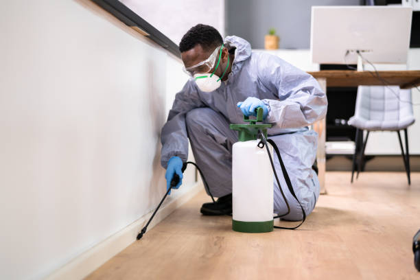 Emergency Pest Control Services in Long Grove, IL